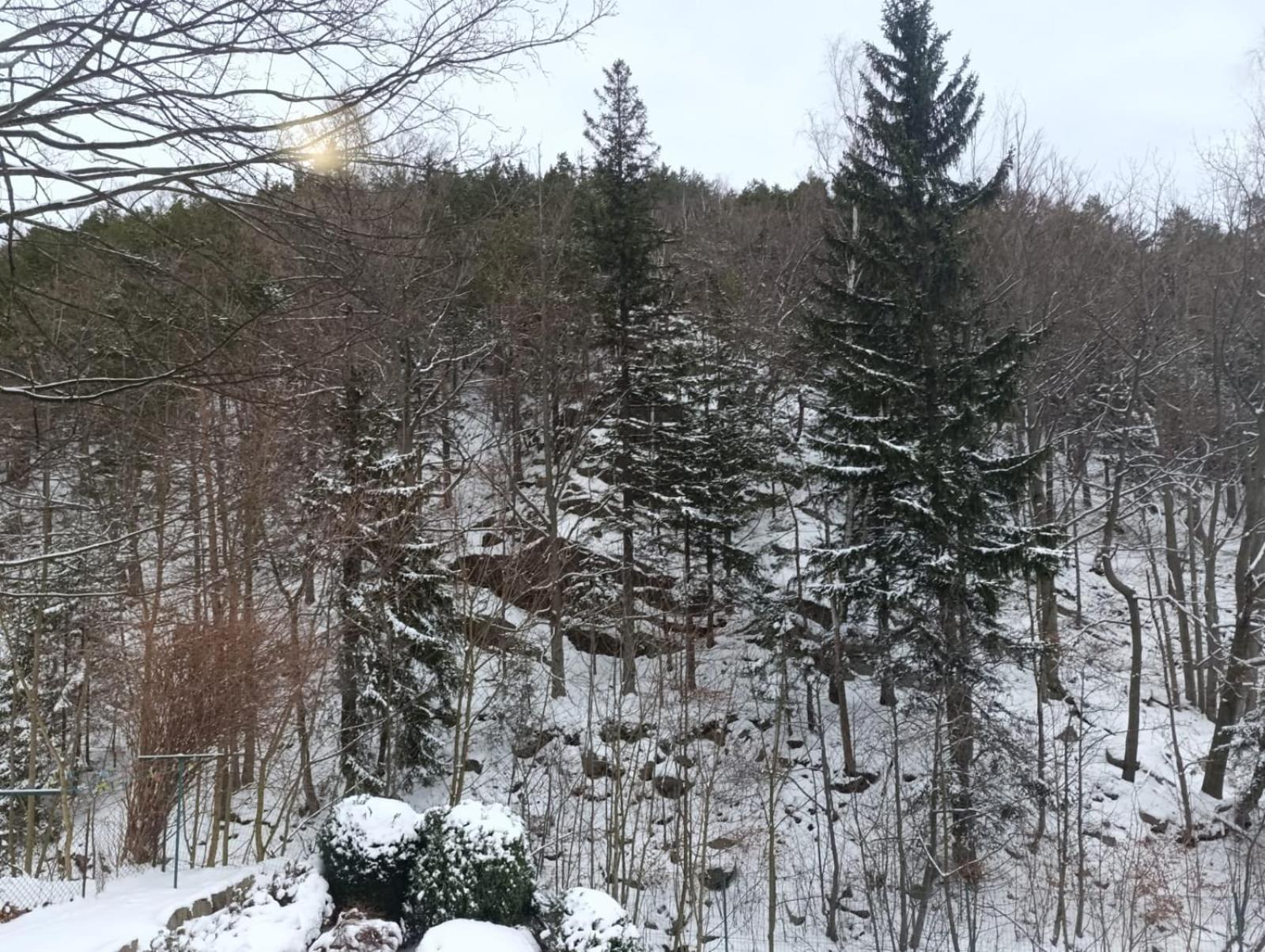 Karkoz Bed & Breakfast Karpacz